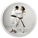 Logo of Karate Basics android Application 